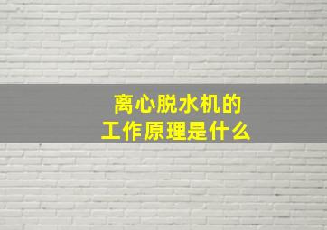 离心脱水机的工作原理是什么