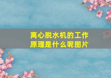 离心脱水机的工作原理是什么呢图片