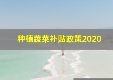 种植蔬菜补贴政策2020