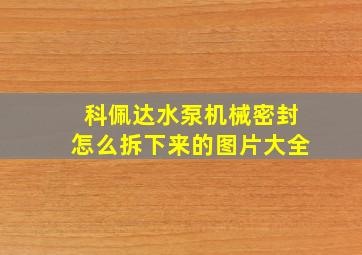 科佩达水泵机械密封怎么拆下来的图片大全