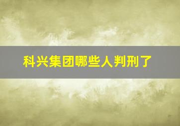 科兴集团哪些人判刑了