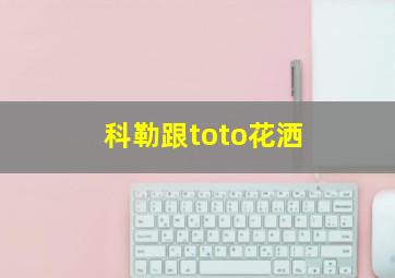 科勒跟toto花洒