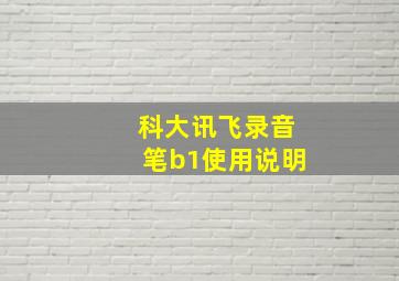 科大讯飞录音笔b1使用说明