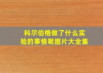 科尔伯格做了什么实验的事情呢图片大全集