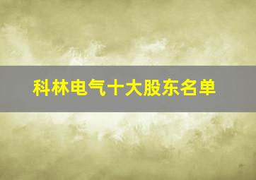 科林电气十大股东名单