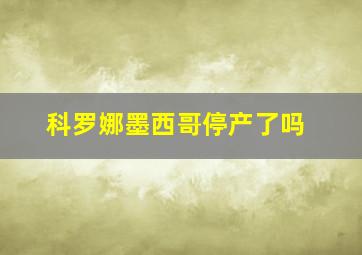 科罗娜墨西哥停产了吗