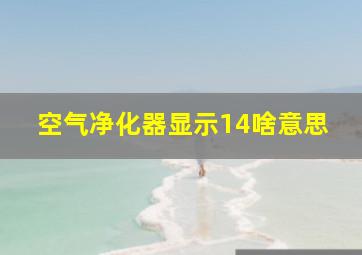 空气净化器显示14啥意思