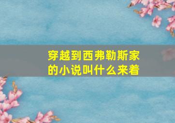 穿越到西弗勒斯家的小说叫什么来着