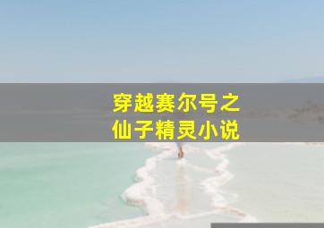 穿越赛尔号之仙子精灵小说