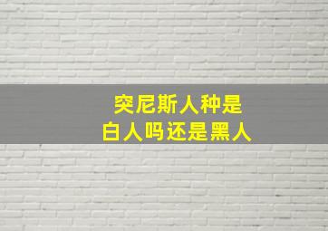 突尼斯人种是白人吗还是黑人