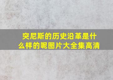 突尼斯的历史沿革是什么样的呢图片大全集高清