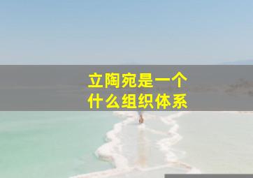 立陶宛是一个什么组织体系