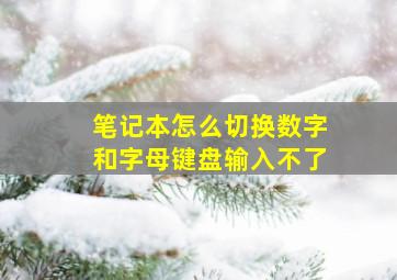 笔记本怎么切换数字和字母键盘输入不了