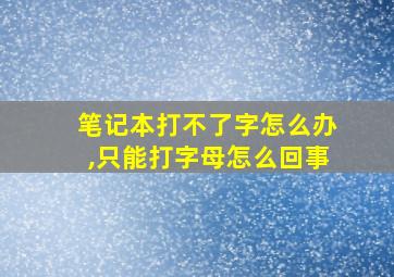 笔记本打不了字怎么办,只能打字母怎么回事