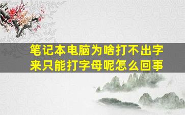 笔记本电脑为啥打不出字来只能打字母呢怎么回事