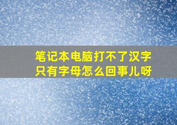 笔记本电脑打不了汉字只有字母怎么回事儿呀