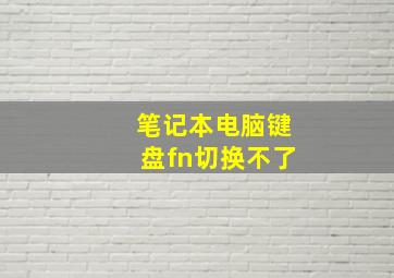 笔记本电脑键盘fn切换不了