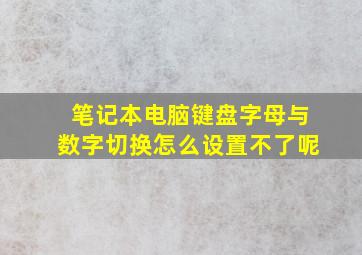 笔记本电脑键盘字母与数字切换怎么设置不了呢