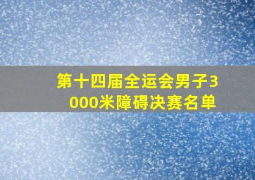 第十四届全运会男子3000米障碍决赛名单