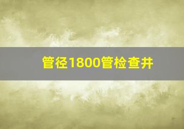 管径1800管检查井