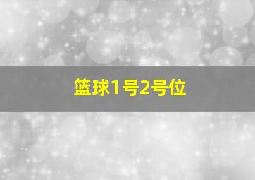 篮球1号2号位