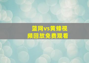 篮网vs黄蜂视频回放免费观看