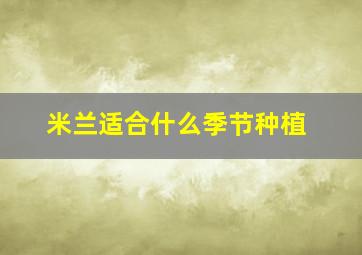 米兰适合什么季节种植