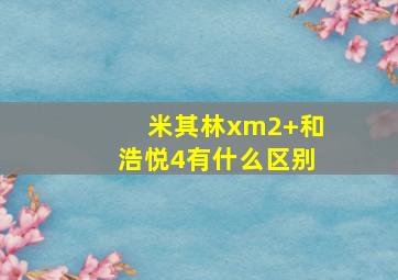 米其林xm2+和浩悦4有什么区别