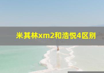 米其林xm2和浩悦4区别