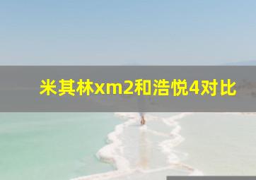 米其林xm2和浩悦4对比