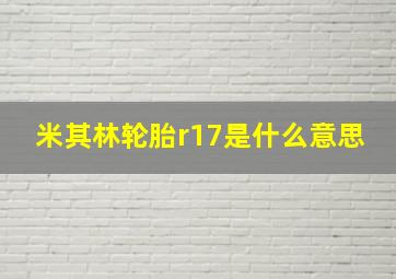 米其林轮胎r17是什么意思