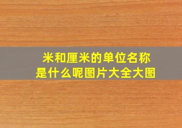 米和厘米的单位名称是什么呢图片大全大图