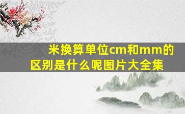 米换算单位cm和mm的区别是什么呢图片大全集