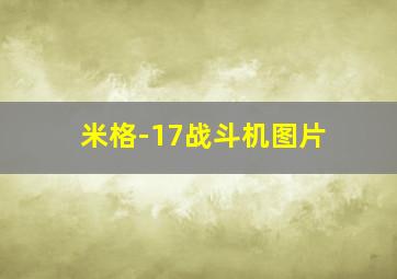 米格-17战斗机图片