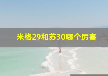 米格29和苏30哪个厉害