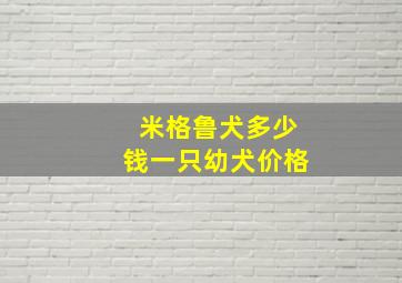 米格鲁犬多少钱一只幼犬价格