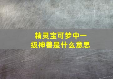 精灵宝可梦中一级神兽是什么意思