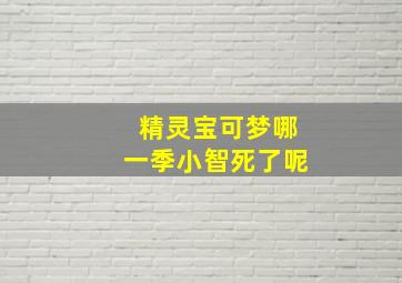 精灵宝可梦哪一季小智死了呢