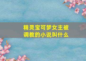 精灵宝可梦女主被调教的小说叫什么