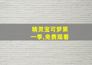 精灵宝可梦第一季,免费观看