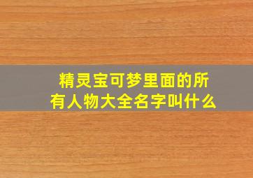 精灵宝可梦里面的所有人物大全名字叫什么