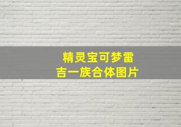 精灵宝可梦雷吉一族合体图片