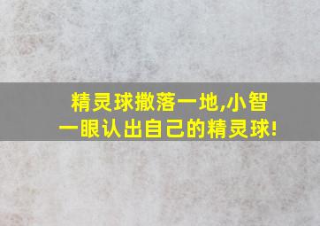 精灵球撒落一地,小智一眼认出自己的精灵球!