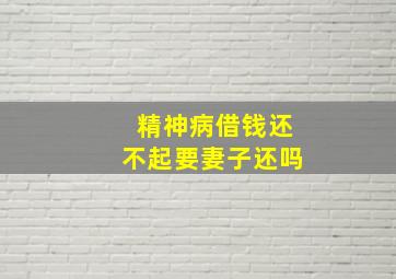 精神病借钱还不起要妻子还吗