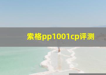 索格pp1001cp评测