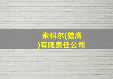 索科尔(猎鹰)有限责任公司