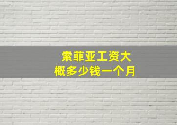 索菲亚工资大概多少钱一个月