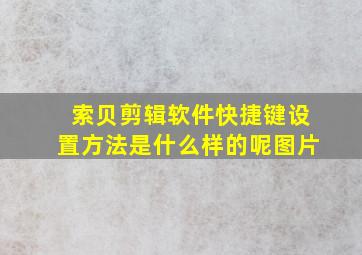 索贝剪辑软件快捷键设置方法是什么样的呢图片