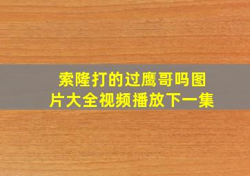 索隆打的过鹰哥吗图片大全视频播放下一集