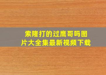 索隆打的过鹰哥吗图片大全集最新视频下载